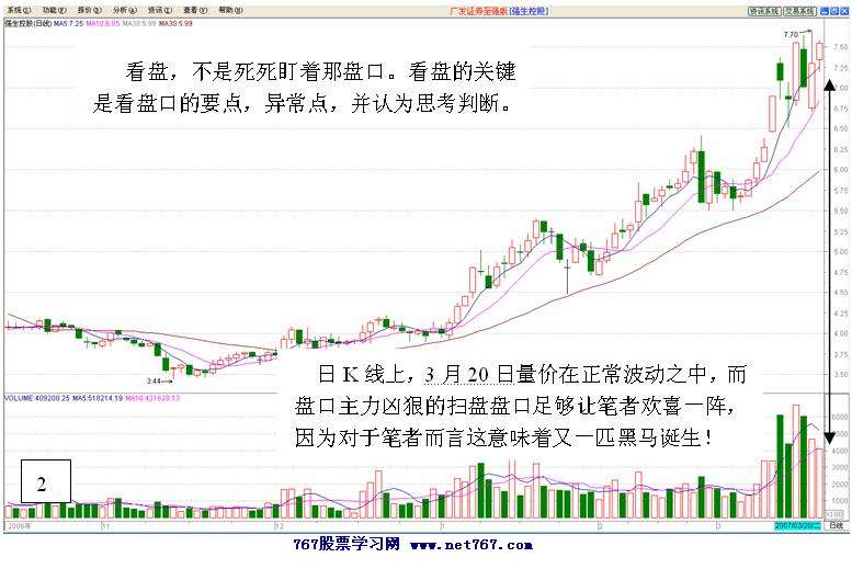 黑马跟踪实战盘口解读