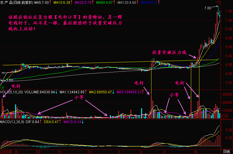 199.电杆小草暴涨先兆