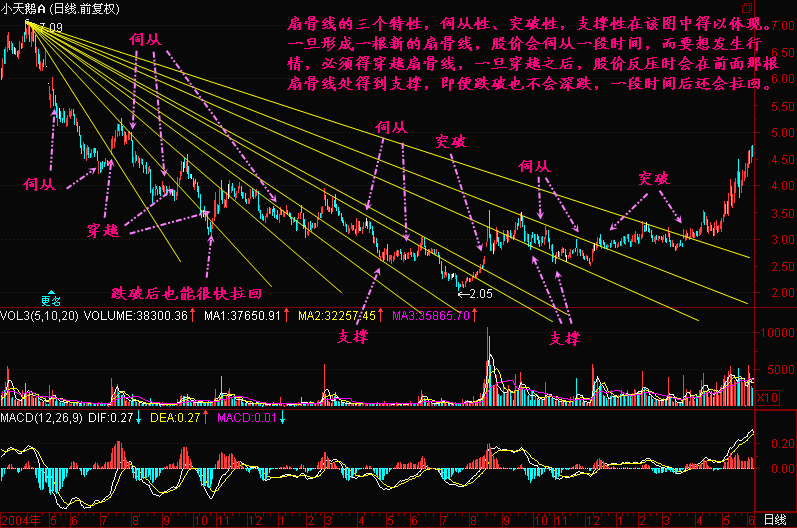 165.扇骨线二 165.扇骨线二
