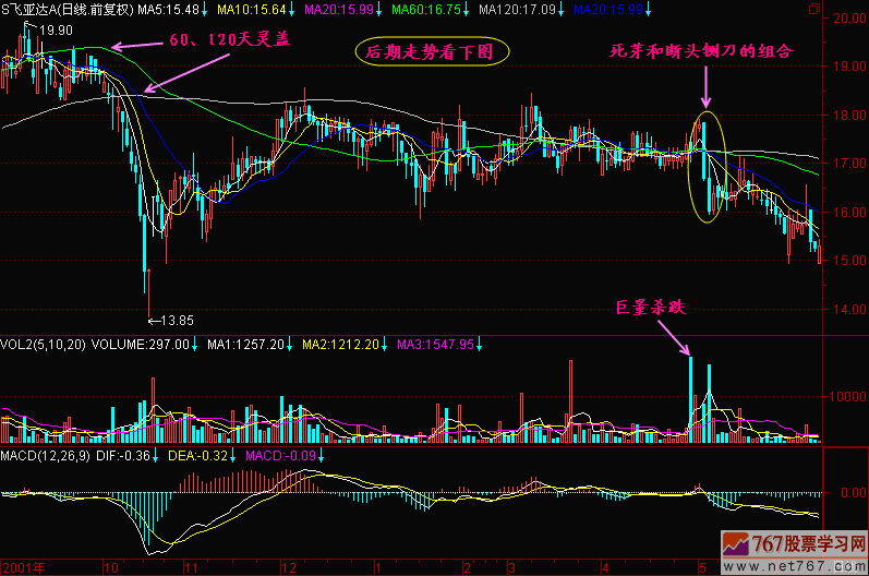 137.死芽之后暴跌 137.死芽之后暴跌