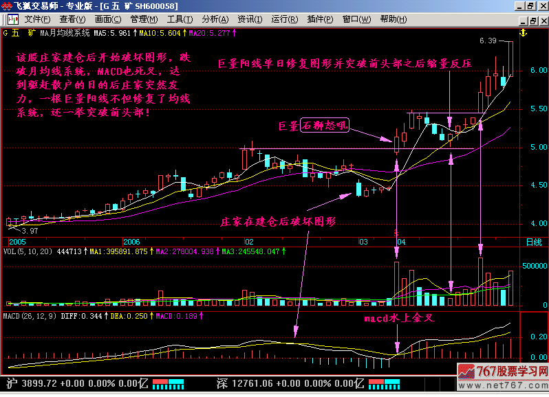 36.石狮怒吼,海鸟飞天 36.石狮怒吼,海鸟飞天