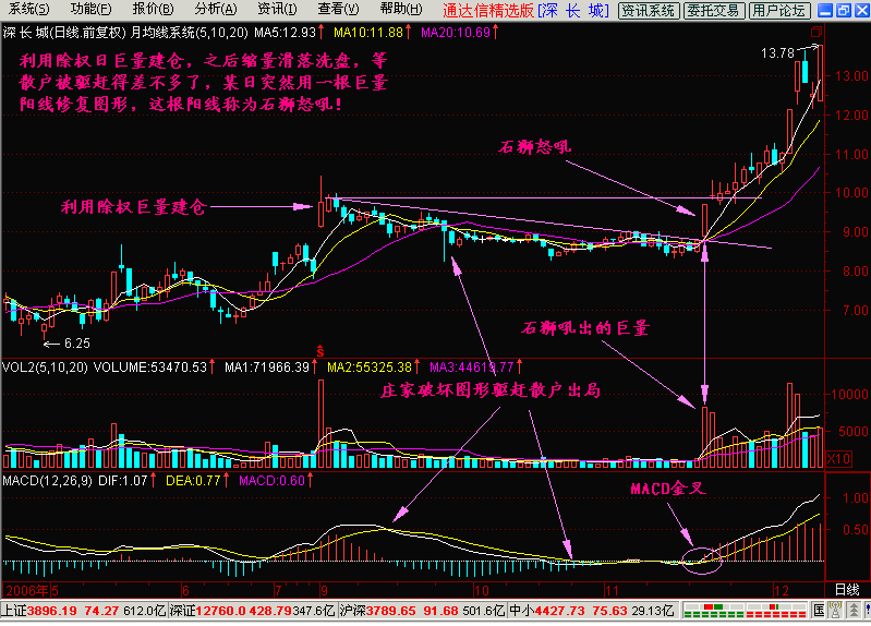 36.石狮怒吼,海鸟飞天 36.石狮怒吼,海鸟飞天