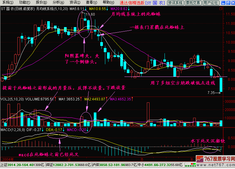 17.死蜘蛛 17.死蜘蛛