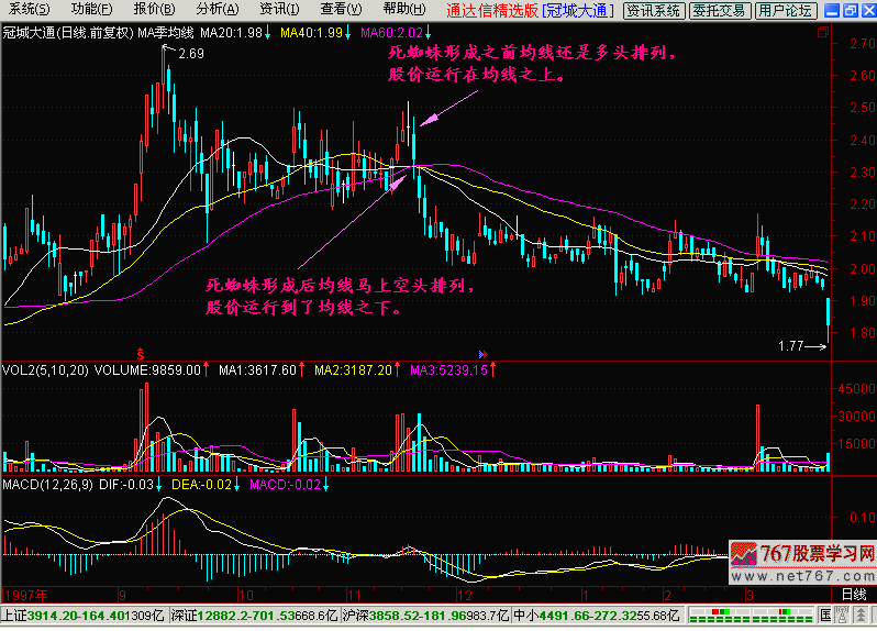 17.死蜘蛛 17.死蜘蛛