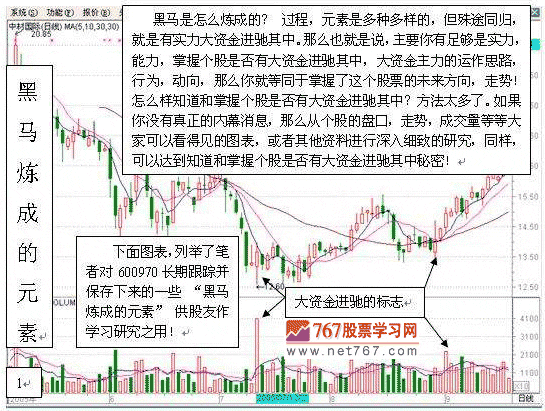 黑马是怎样炼成的