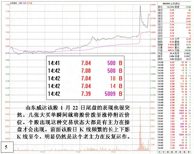山东威达庄家操作分析