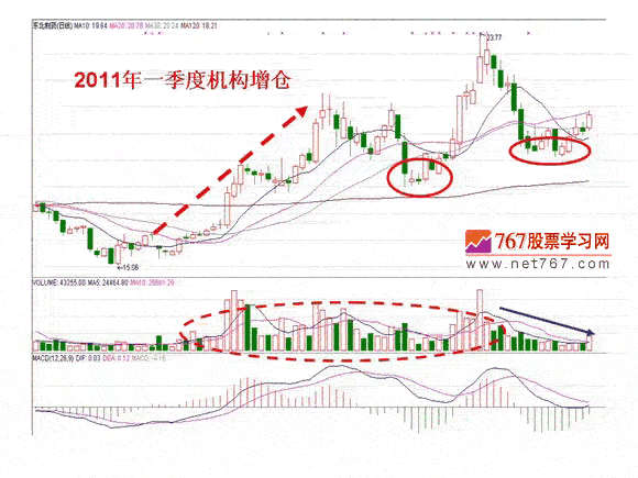 基本面影响股价案例分析