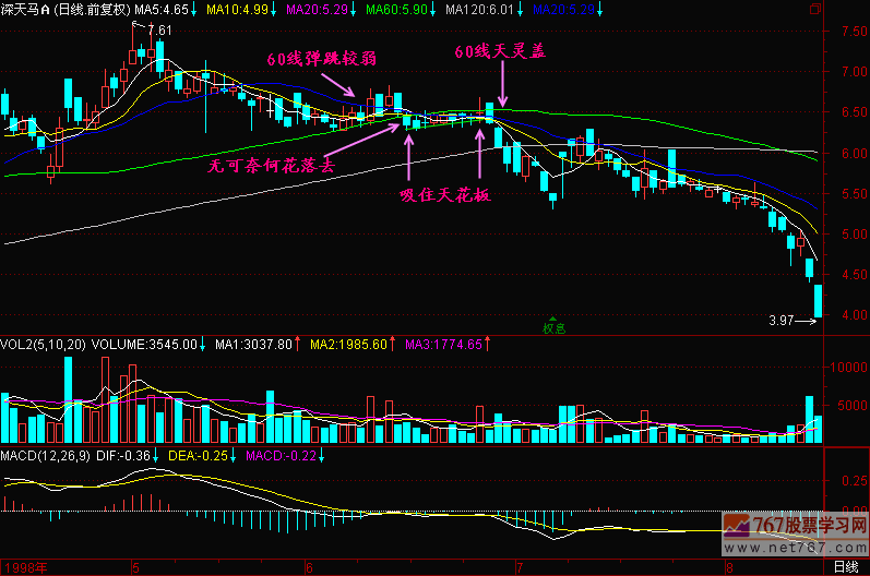 122.头部特征一 122.头部特征一