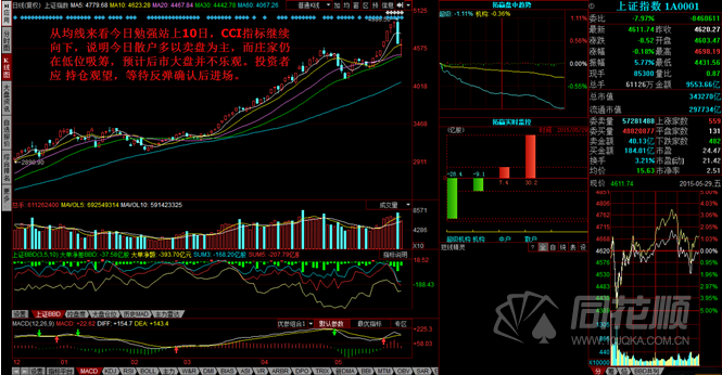 每日一评05月29日
