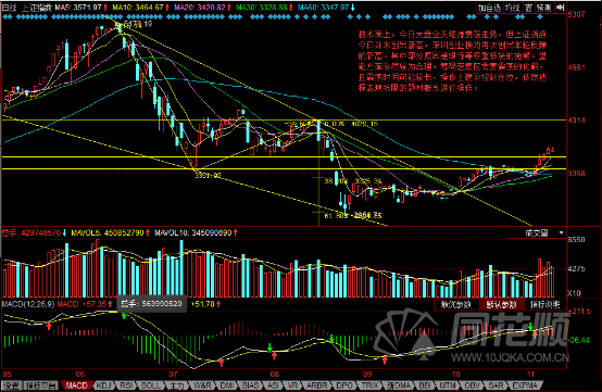 每日一评11月10日