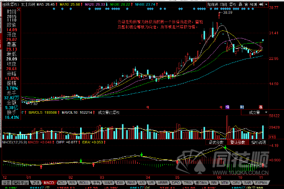 每日一评11月10日