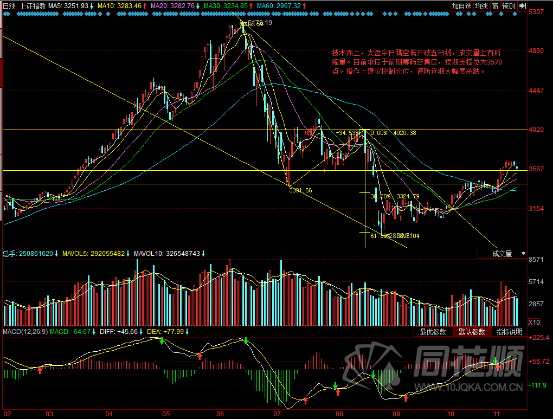 每日一评11月13日