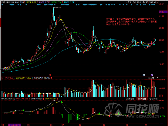 每日一评11月13日