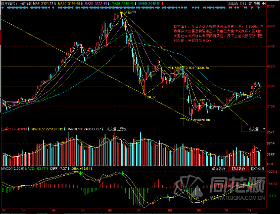每日一评11月16日