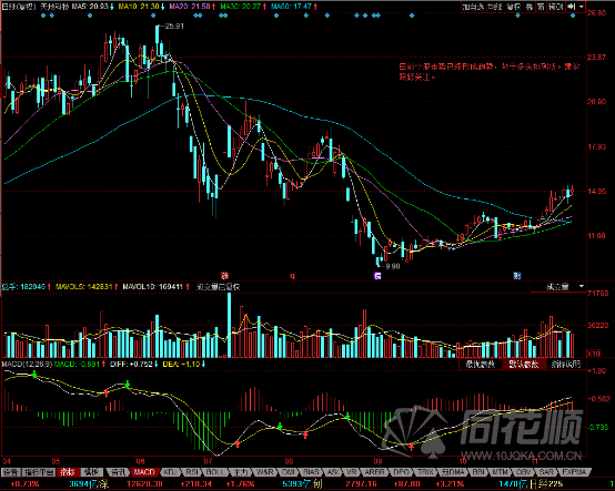 每日一评11月16日