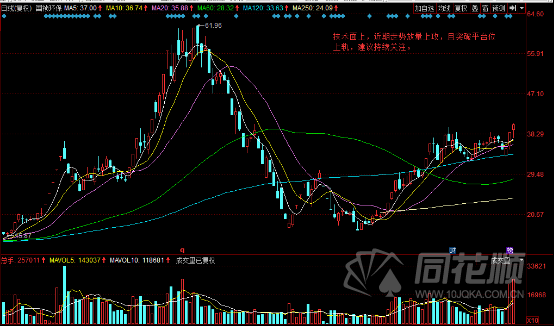 每日一评11月18日