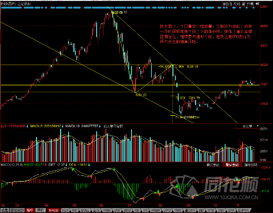 每日一评11月20日