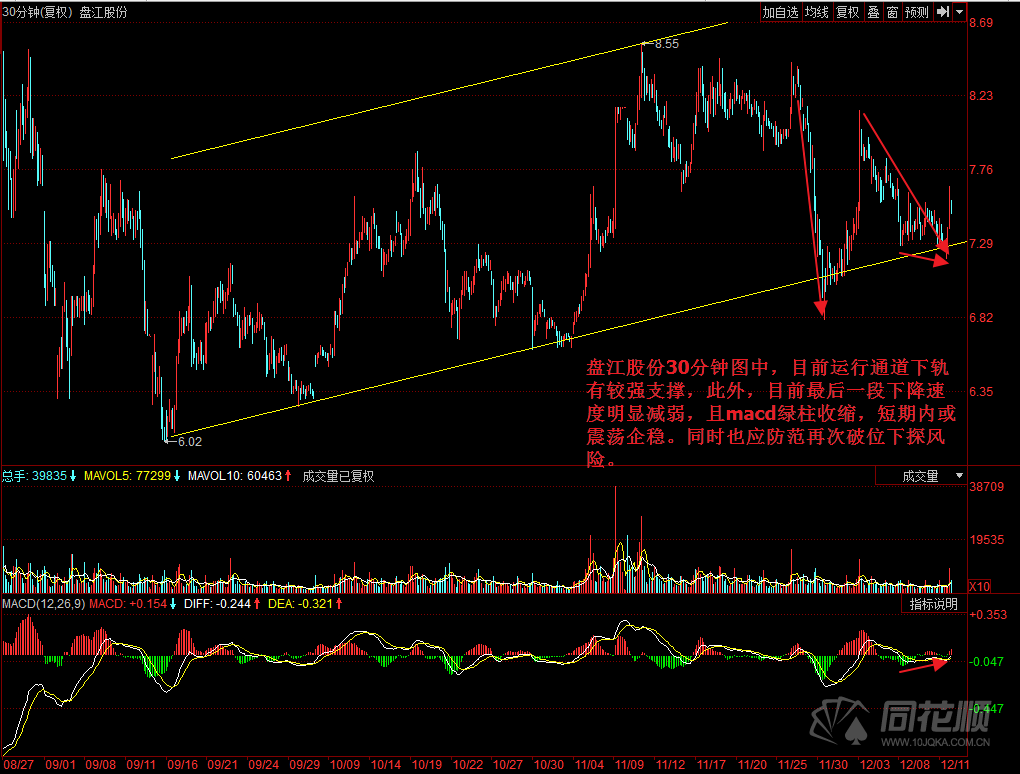 每日一评12月11日