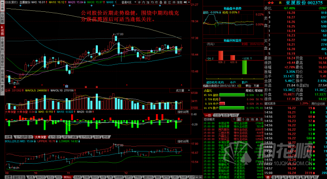 每日一评12月30日