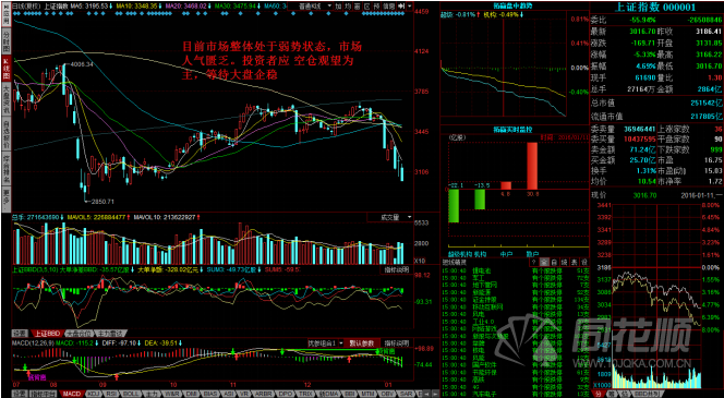 每日一评01月11日