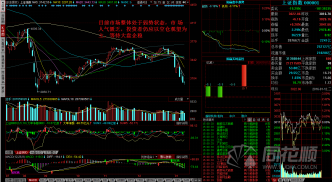 每日一评01月12日