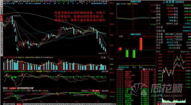每日一评01月18日