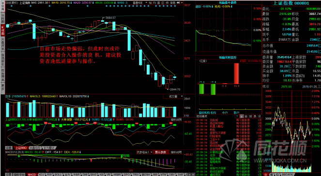 每日一评01月20日 每日一评01月20日