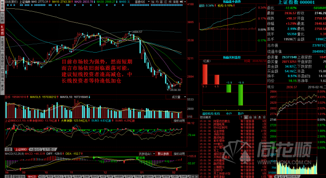 每日一评02月16日