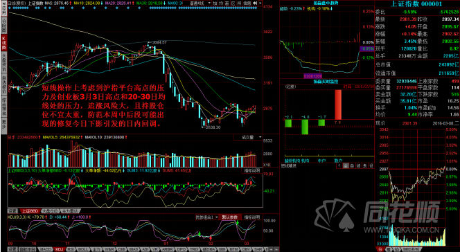 每日一评03月08日